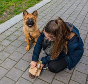 Maitre qui ramasse les déjections de son chien
