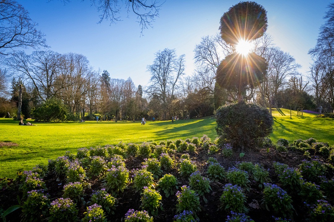Les beaux jours arrivent !!🌞😍

#valenciennes #valenciennesmetropole #valenciennestourismeetcongres #fleurissement #fleurs #massifsfleuris #plantes #arbres #beauxjours #soleil #printemps #hautsdefrance #parc #jardin #verdure # profiter #respirer #hdf_en_photos #tourismehautsdefrance