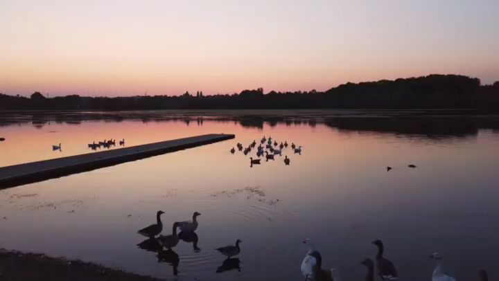 [ REPOST ] Nous vous partageons cette très belle vidéo de l’étang du vignoble.
#Valenciennes #valenciennes_maville #drone #etangduvignoble
#valenciennestourismeetcongres #valenciennesmetropole
#norddecouverte

#Repost @lenvol_