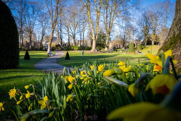 [RETOUR EN IMAGES] Un beau weekend à Valenciennes, ☀️🌷🌷🌷 comme un air de Printemps qui commence à pointer le bout de son nez ☀️🌷