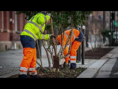 Découvrir le métier d'agent des espaces verts