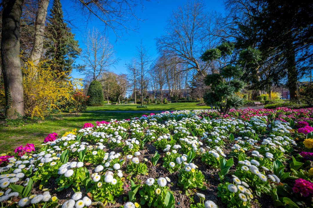 Haut en couleurs ! 

#fleurs #fleurissement #couleurs #nature #parc #detente #beauxjours