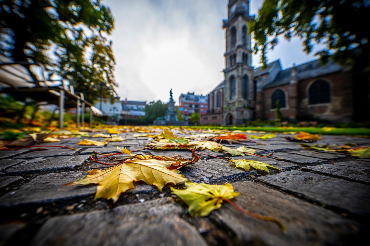 Feuilles d’automne 🍂

#valenciennes #valenciennesmetropole #valenciennestourismeetcongres #igersvalenciennes #nord #hautsdefrance #automne #couleursdautomne #feuillesautomne #nordmylove #nordtourisme #hdf_en_photos #departement59 #nordpasdecalais