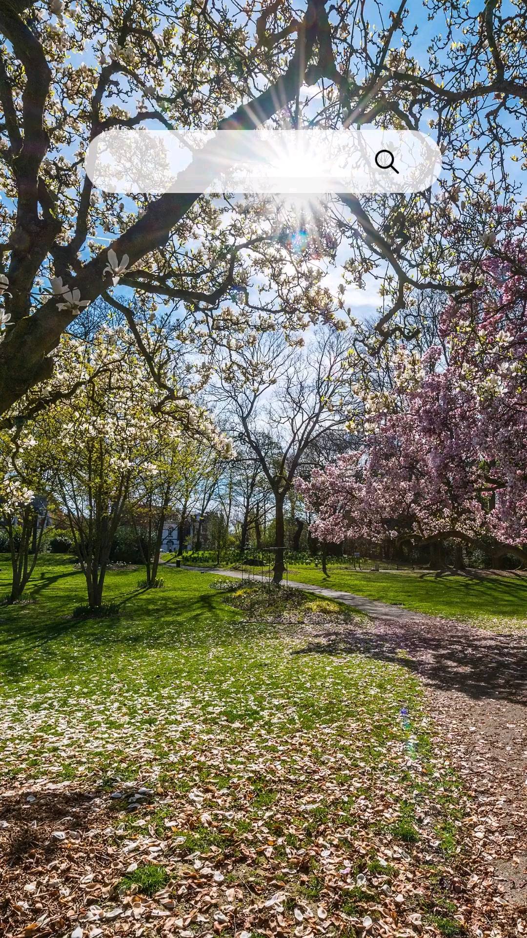 Le parc de la Rhonelle 
#valenciennes #valenciennesmetropole #valenciennestourismeetcongres #igersvalenciennes #nord #hautsdefrance #parc #espacevert #nordmylove #nordtourisme #hdf_en_photos #departement59 #nordpasdecalais #rhonelle