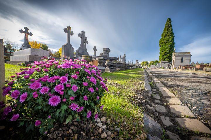 [VISITES PATRIMONIALES] La ville vous donne RDV le 1er novembre pour partir à la découverte des richesses patrimoniales du cimetière Saint Roch. 
👉 Les visites sont gratuites et commentées par Daniel Cappelle, RDV à 11h et à 15h (durée 1h) devant l’entrée du cimetière Saint Roch.
ℹ Les travaux de valorisation ont déjà commencé au cimetière Saint-Roch, vous pourrez ainsi découvrir l’envergure du chantier.
+ d’infos :
▶ sur le réaménagement des cimetières 👉https://www.valenciennes.fr/grands-projets/equipements/reamenagement-des-cimetieres/
▶ sur le patrimoine historique des cimetières 👉https://www.valenciennes.fr/decouvrir-la-ville/son-patrimoine/cimetiere-historique/