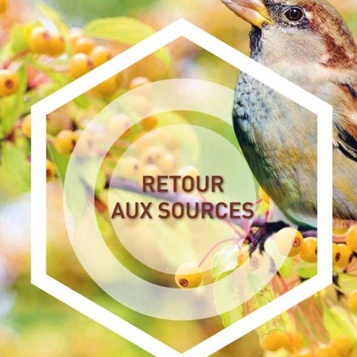[AGENDA] Le Centre Culturel L’Odyssée Valenciennes vous dévoile sa programmation pour le mois d’avril ! 🤩
👉Inscrivez-vous soit par téléphone 📞 03 27 22 46 60 ou par mail 📧 centreculturelodyssee@ville-valenciennes.fr.
👉Consultez la programmation :