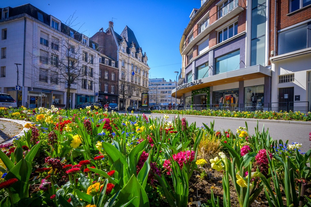Le centre-ville aux couleurs printanières

#valenciennes #valenciennes_maville #valenciennesmetropole #centreville #valenciennestourismeetcongres #igersvalenciennes #nord #hautsdefrance #pintemps #nordmylove #nordtourisme #hdf_en_photos #departement59 #nordpasdecalais #fleurissement #fleurs #nature #parc #balade #soleil #beauxjours