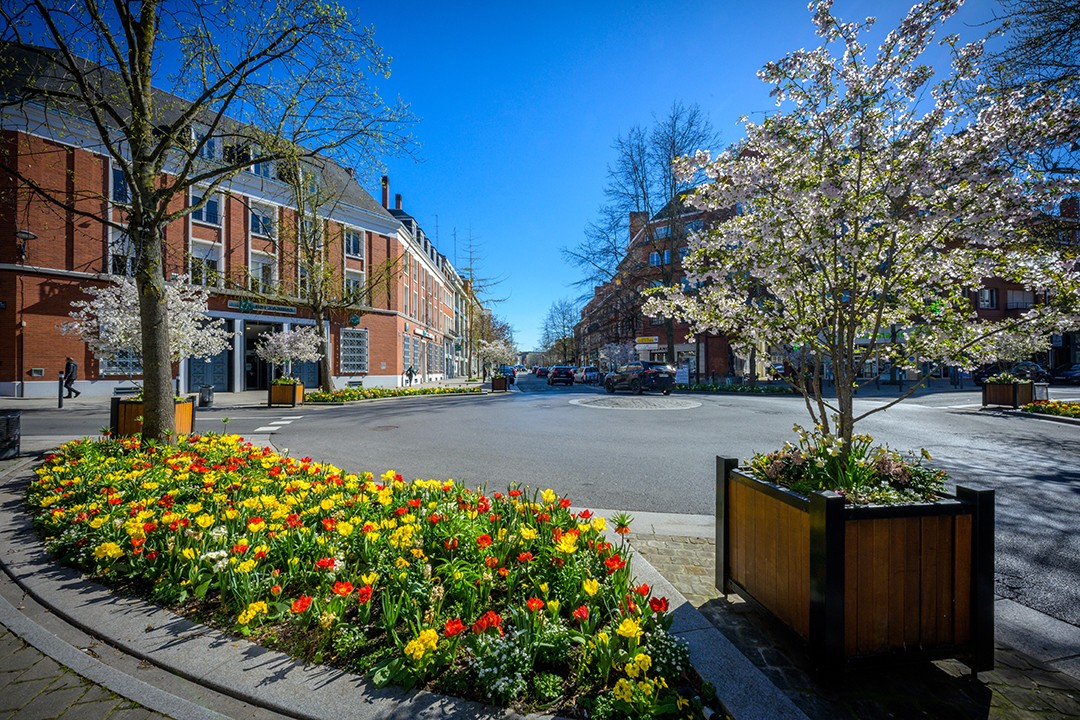 Avenue d’Amsterdam
#valenciennes #valenciennes_maville #valenciennesmetropole #centreville #valenciennestourismeetcongres #igersvalenciennes #nord #hautsdefrance #pintemps #nordmylove #nordtourisme #hdf_en_photos #departement59 #nordpasdecalais #fleurissement #fleurs #soleil #beauxjours