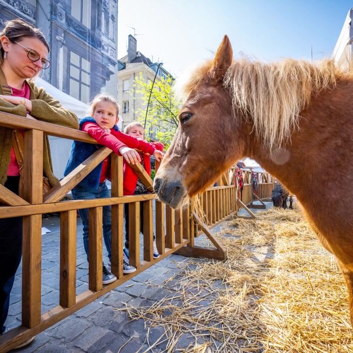 Retour en images sur votre week-end à Valenciennes 🥰🤩😎🌞
Bonne semaine 😉