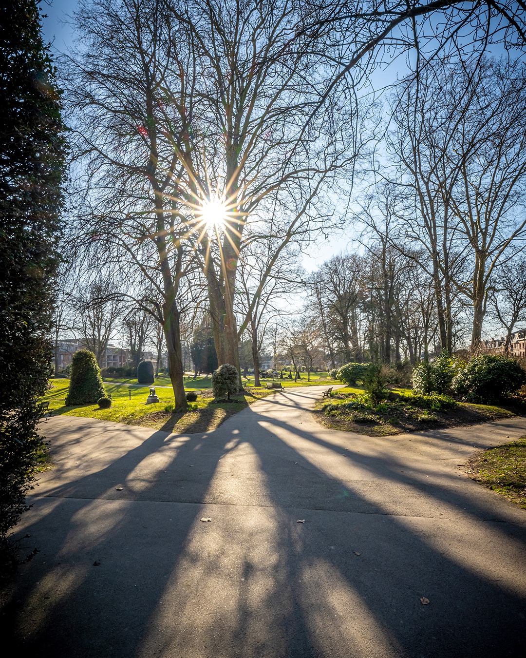 Levé du 🌞 au parc de la Rhonelle

#valenciennes #valenciennes_maville #valenciennesmetropole #parcdelarhonelle  #valenciennestourismeetcongres #igersvalenciennes #nord #hautsdefrance #pintemps #cielbleu #nordmylove #nordtourisme #hdf_en_photos #departement59 #nature #parc #nordpasdecalais #levedusoleil #soleil