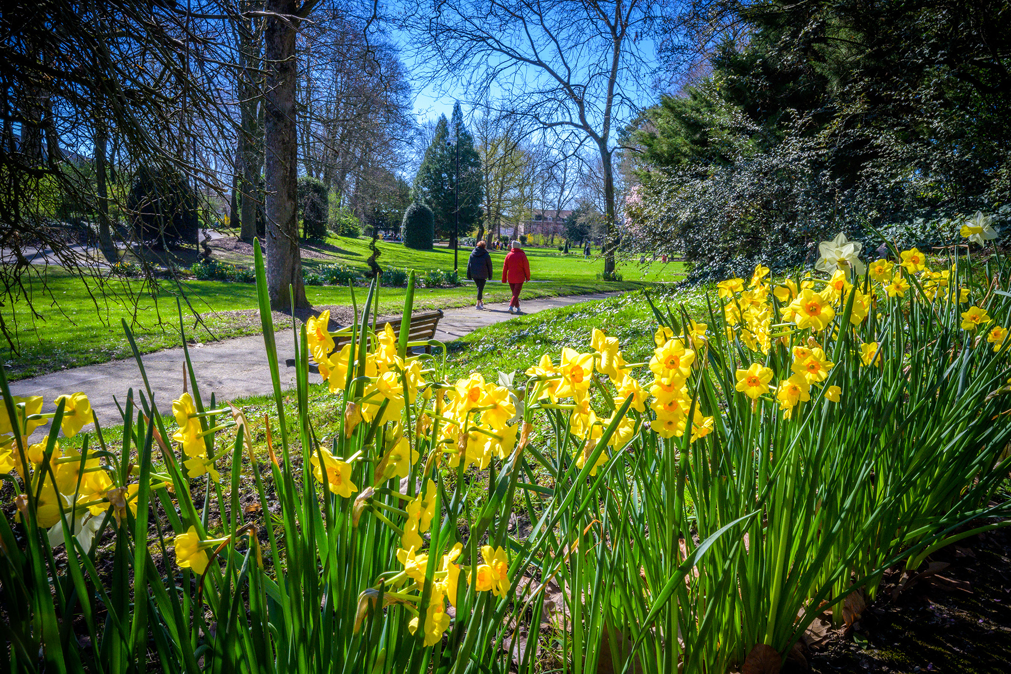 Valenciennes, ville « 4 fleurs » et « fleur d’or »