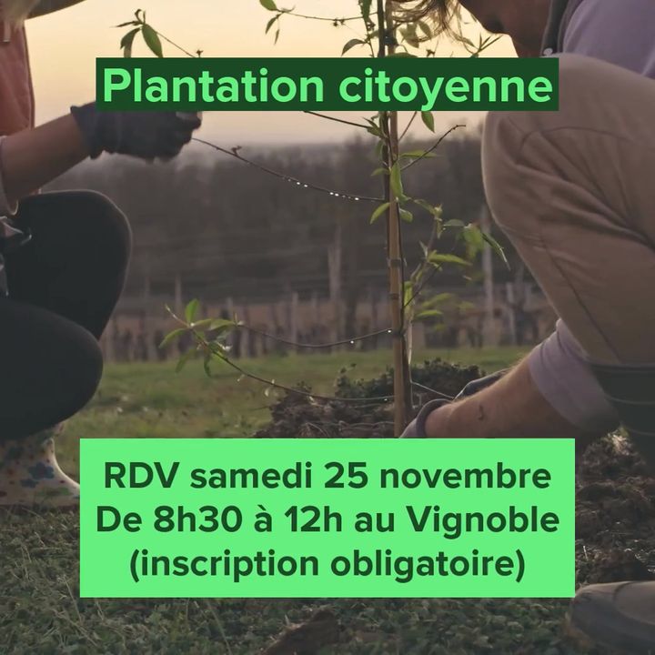 [🌳🌱INFOS 🌱🌳] La ville de Valenciennes vous invite à partager un moment en famille et vous donne RDV samedi 25 novembre au Vignoble pour participer à l’action « Plantation citoyenne »
BUT 👇
Enrichir le site du Vignoble d’arbres, dont des fruitiers, pour offrir des lieux de refuge supplémentaires aux animaux, 
RDV 👇
📆 25/11 – 8h30/12h – au Vignoble, parking rue Henri Durre
📍 👇
Prévoir : gants, bottes et vêtements adaptés
ℹ Inscription obligatoire : stouze@ville-valenciennes.fr
