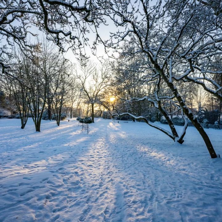[Instant suspendu] Nous vous laissons admirer Valenciennes sous son beau manteau blanc❄️