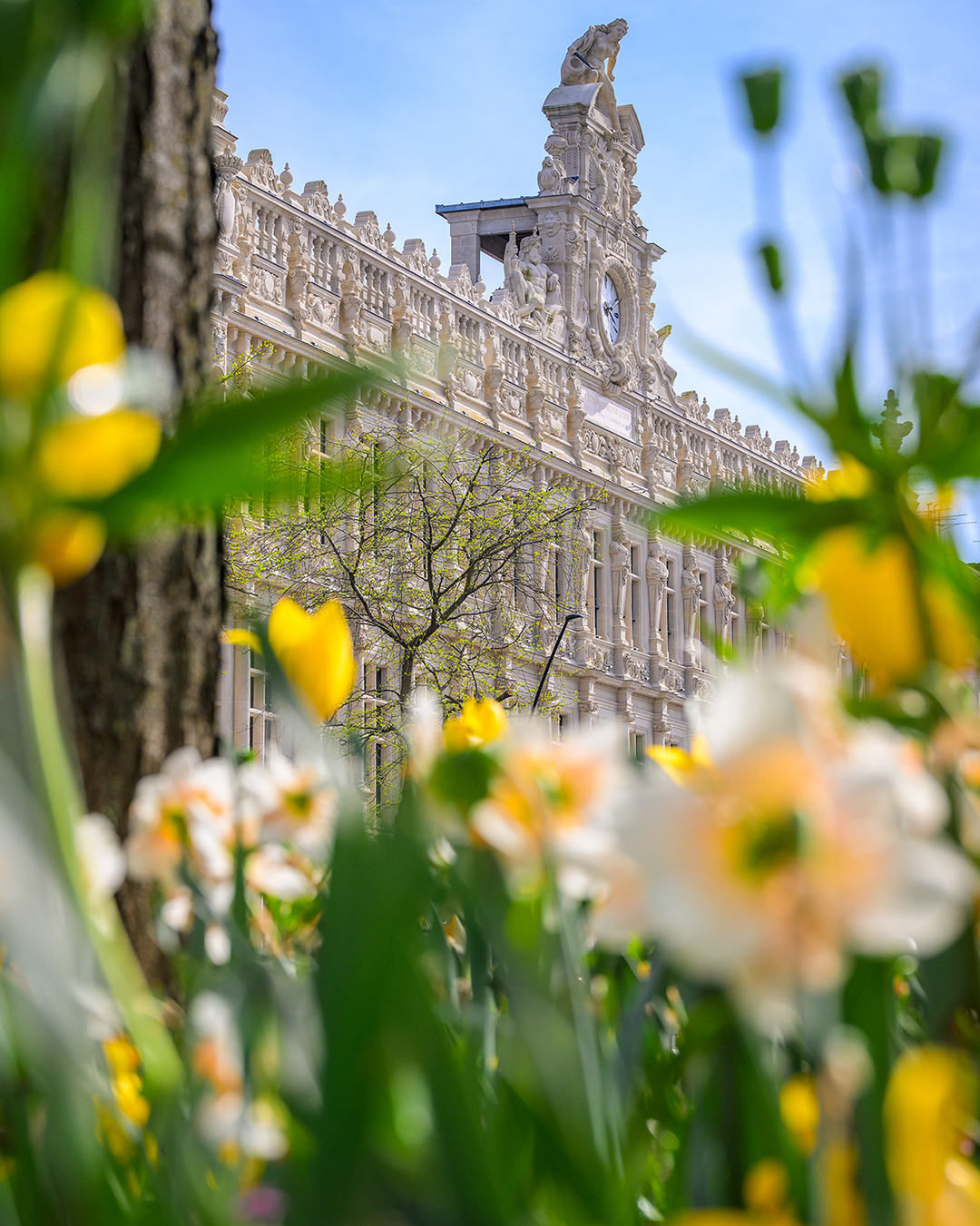 Bon week-end ! et partagez vos photos avec #valenciennes_maville 

#Valenciennes #valenciennesmetropole #valenciennestourismeetcongres #touslesvalenciennoisici #tlvi #nordpasdecalais #hdf_en_photos #hautsdefrance #departement59 #monnordenor #igersvalenciennes #Nord #hautsdefrance #nordmylove