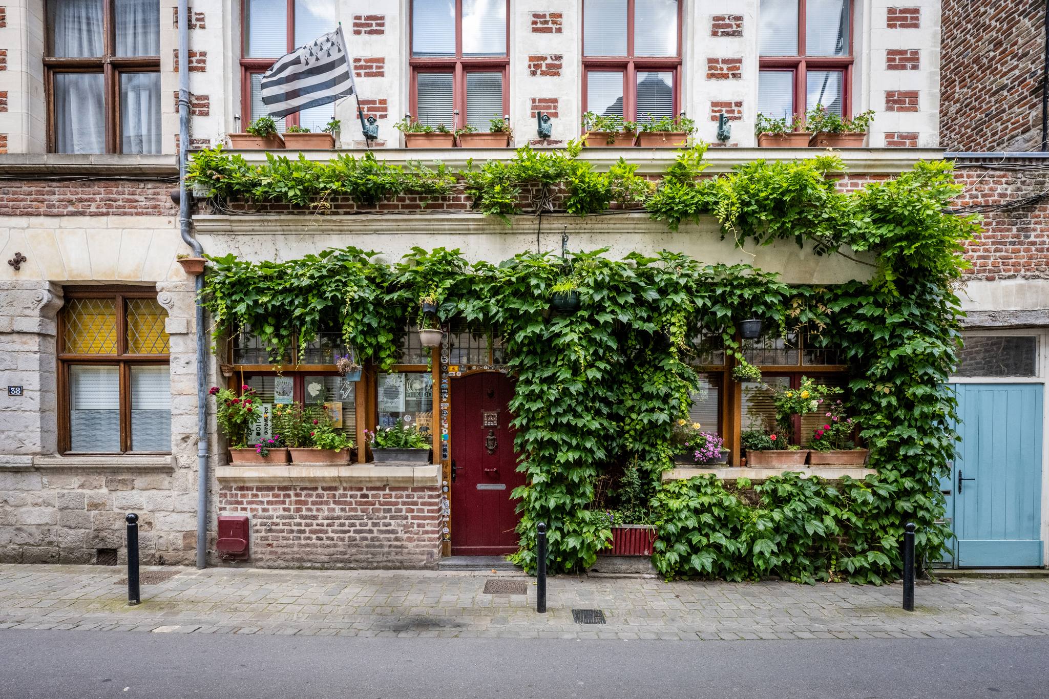 Façade fleurie rue des Récollets 

#valenciennes #valenciennes_maville #façadefleurie
#valenciennesmetropole #rue 
#valenciennestourismeetcongres
#igersvalenciennes #nord #tlvi #touslesvalenciennesici
#hautsdefrance #nordmylove #nordtourisme
#hdf_en_photos #departement59 #nordpasdecalais