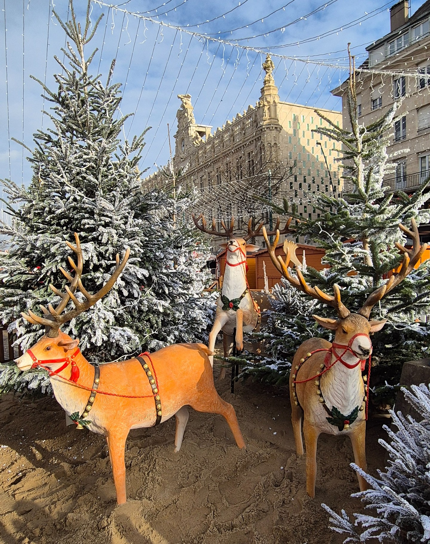 [𝑽𝒊𝒍𝒍𝒂𝒈𝒆 𝒅𝒆 𝑵𝒐𝒆̈𝒍] 🎄 J-2 

Vous aussi, vous avez hâte ? ⭐️

Toutes les infos sur https://www.valenciennes.fr/place-a-noel
.
.
.
#noel #noel_a_valenciennes #valenciennesmetropole #valenciennestourisme #festivités #illuminationsdenoel #chalet #touslesvalenciennoisici #tlvi #nordpasdecalais #hdf_en_photos #hautsdefrance #departement59 #monnordenor #igersvalenciennes #Nord #nordmylove