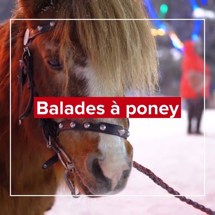 [🎄🎅 PLACE À NOËL 🎅🎅] RDV dès 11h au coeur du village de Noël pour faire une balade à poney 🤩 

ℹ 𝗣𝗼𝘂𝗿 𝗻𝗲 𝗿𝗶𝗲𝗻 𝗿𝗮𝘁𝗲𝗿 👇
🎅 𝑽𝒐𝒊𝒄𝒊 𝒍𝒆 𝒑𝒓𝒐𝒈𝒓𝒂𝒎𝒎𝒆 : https://www.valenciennes.fr/place-a-noel/
🎅 𝑳𝒆 𝒍𝒊𝒆𝒏 𝒅𝒆 𝒍’𝒆́𝒗𝒆́𝒏𝒆𝒎𝒆𝒏𝒕 : https://fb.me/e/2edNlJuRc

#valenciennes_maville #noël #marchédenoël #villagedenoel
