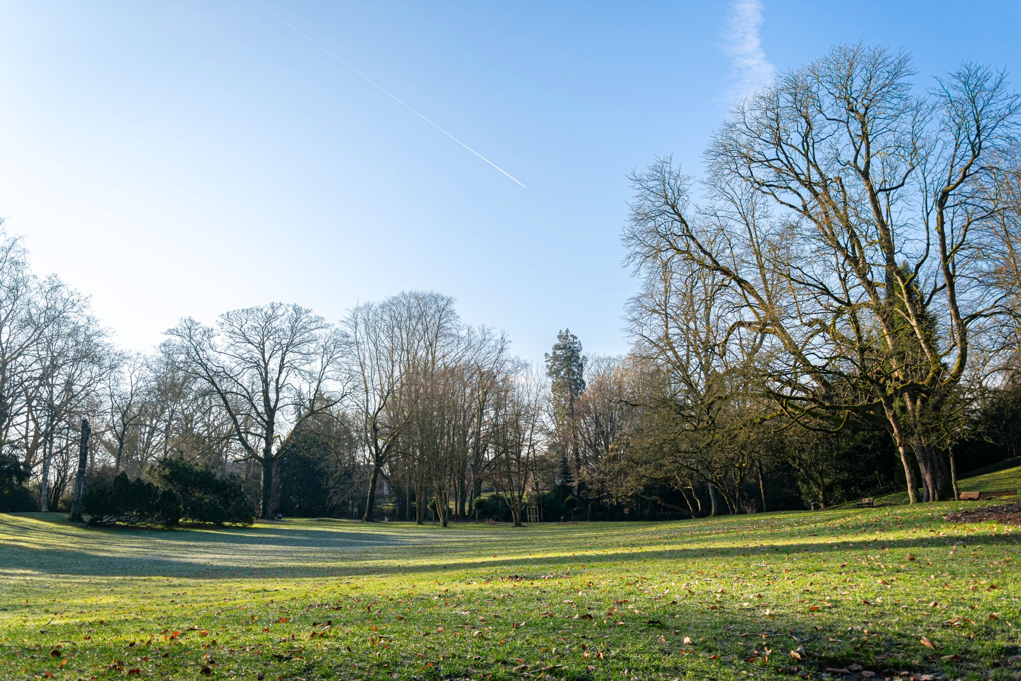 Le Parc de la Rhônelle vous invite à la promenade 🌳

#parc #nature #parcdelarhonelle 
#valenciennestourismeetcongres #valenciennesmetropole #touslesvalenciennoisici #tlvi #nordpasdecalais #hdf_en_photos #hautsdefrance #departement59 #monnordenor #igersvalenciennes #Nord #hautsdefrance #nordmylove