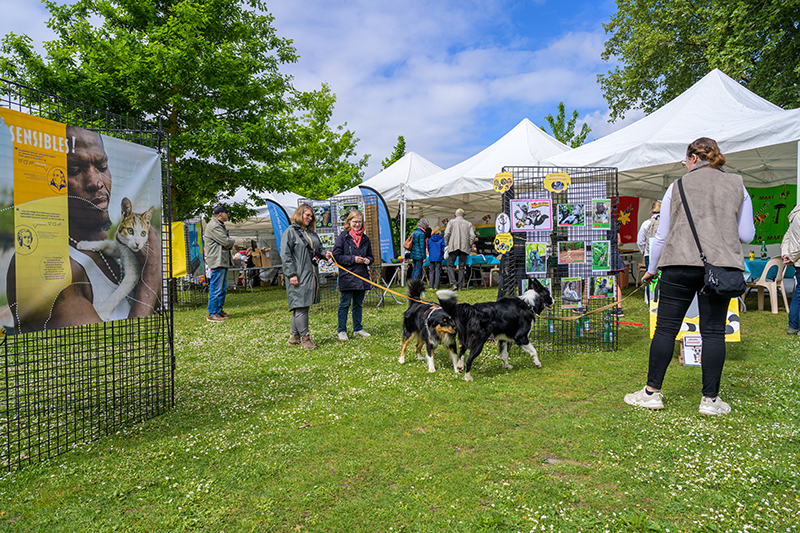 Fête des animaux