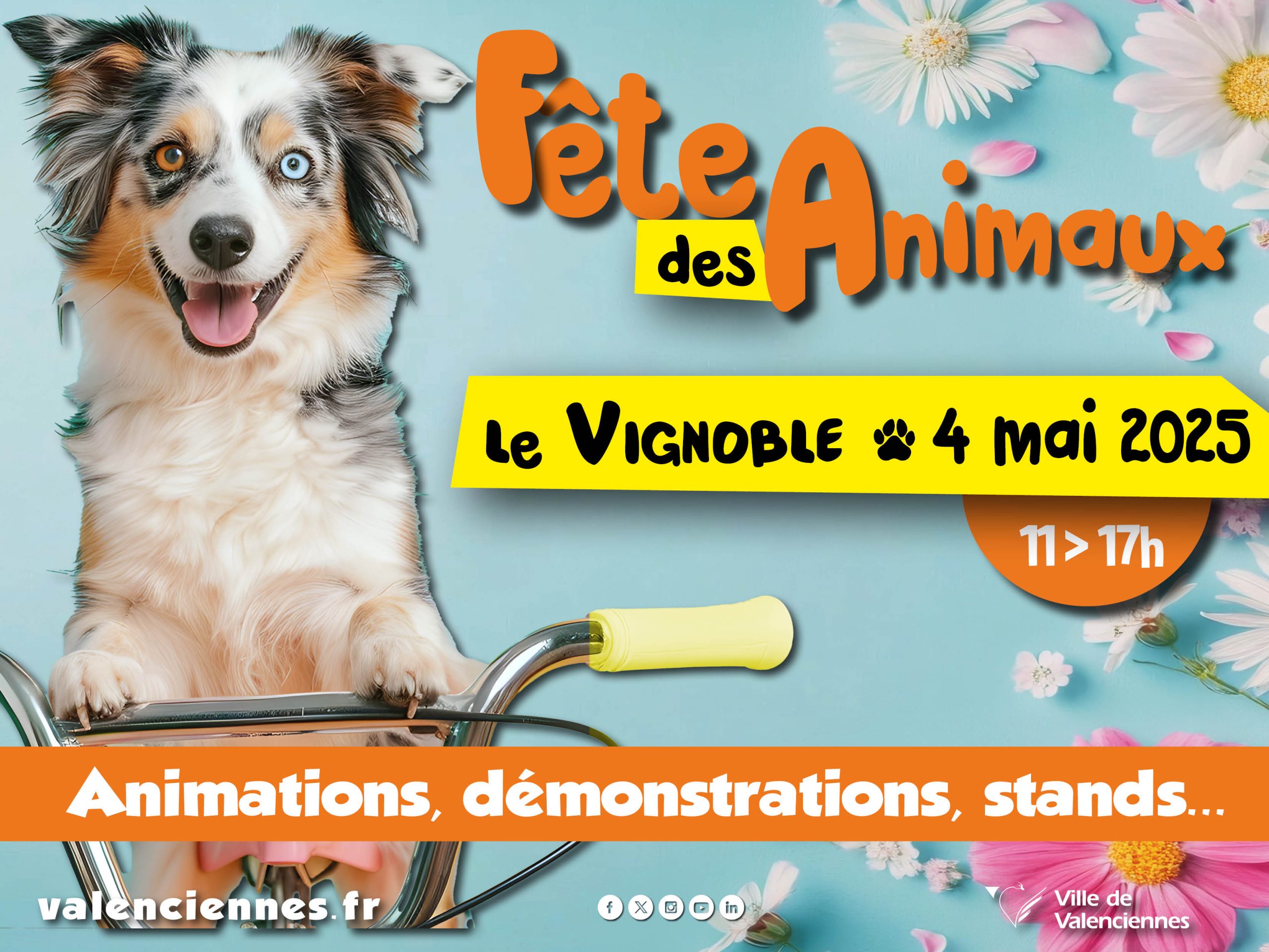 Fête des animaux