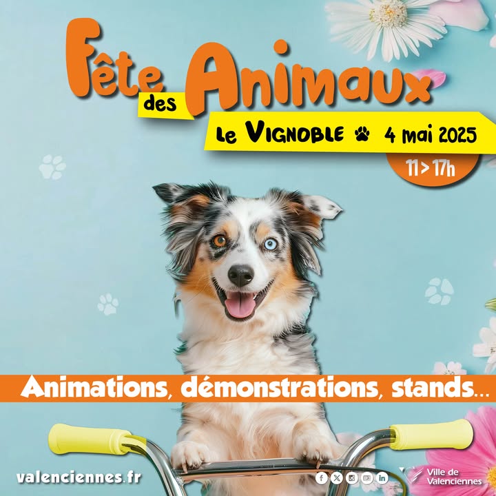 [🐱🐰🐕] RDV de 11h à 17h, dimanche 4 mai au Vignoble pour participer à la « Fête des animaux ».
👉𝗔𝘂 𝗽𝗿𝗼𝗴𝗿𝗮𝗺𝗺𝗲 : 💒 château gonflable, stands, animations, expositions, démonstrations.
👉𝗦𝗲𝗿𝗼𝗻𝘁 𝗽𝗿𝗲́𝘀𝗲𝗻𝘁𝘀 : L’association Citanimal, l’association Canin Sans Famille, Les p’tites pattes-à chons, …
ℹ 𝗣𝗼𝘂𝗿 + 𝗱𝗲 𝗱𝗲́𝘁𝗮𝗶𝗹𝘀, 𝘃𝗼𝗶𝗰𝗶 𝗹𝗲 𝗹𝗶𝗲𝗻 𝗱𝗲 𝗹’𝗲́𝘃𝗲́𝗻𝗲𝗺𝗲𝗻𝘁 : https://fb.me/e/4zx003TuA