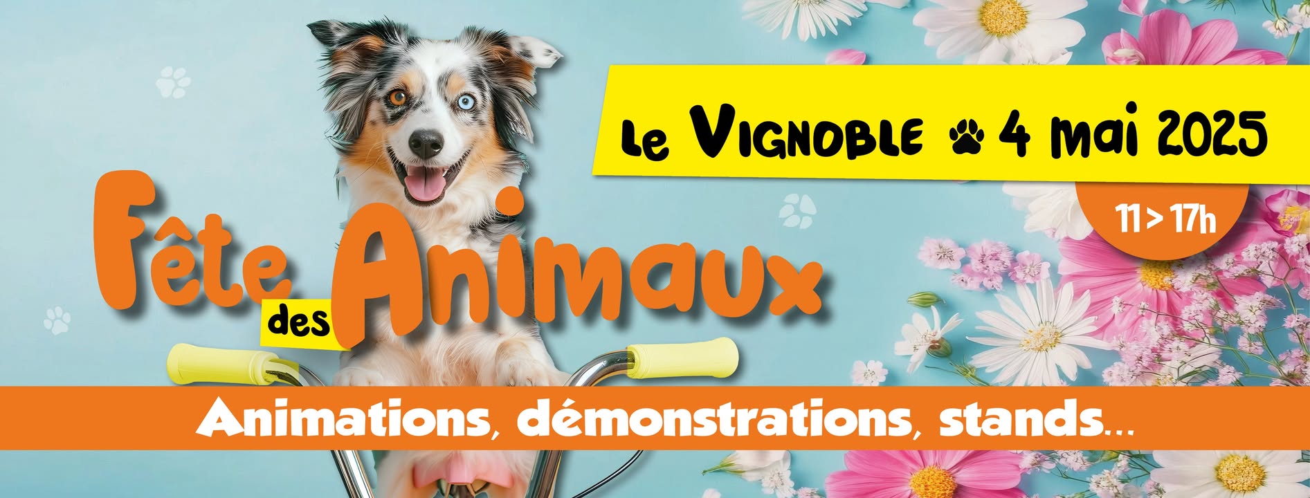 [RETOUR EN 📸] sur la fête des animaux 🐾. Bonne semaine 😉