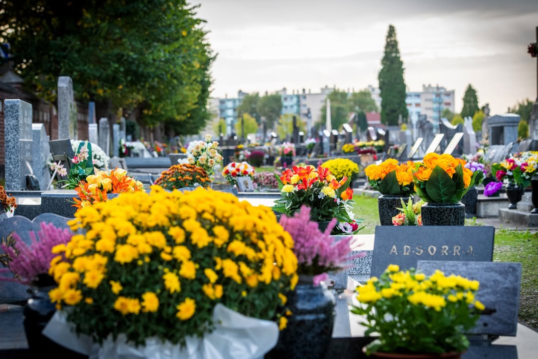 [INFO] 𝐋𝐞 𝐣𝐨𝐮𝐫 𝐝𝐞 𝐥𝐚 𝐓𝐨𝐮𝐬𝐬𝐚𝐢𝐧𝐭, 𝐥𝐞𝐬 𝐜𝐢𝐦𝐞𝐭𝐢𝐞̀𝐫𝐞𝐬 𝐒𝐚𝐢𝐧𝐭-𝐑𝐨𝐜𝐡 𝐞𝐭 𝐒𝐚𝐢𝐧𝐭-𝐉𝐞𝐚𝐧 𝐬𝐞𝐫𝐨𝐧𝐭 𝐨𝐮𝐯𝐞𝐫𝐭𝐬 𝐝𝐞 𝟖𝐡 𝐚̀ 𝟏𝟖𝐡.

🚫 𝐀𝐜𝐜𝐞̀𝐬 𝐯𝐞́𝐡𝐢𝐜𝐮𝐥𝐞𝐬
L’accès aux véhicules personnels ne sera pas autorisé, y compris pour les usagers disposant d’une autorisation annuelle.

🚐 𝐀𝐜𝐜𝐨𝐦𝐩𝐚𝐠𝐧𝐞𝐦𝐞𝐧𝐭 𝐝𝐞𝐬 𝐩𝐞𝐫𝐬𝐨𝐧𝐧𝐞𝐬 𝐚̀ 𝐦𝐨𝐛𝐢𝐥𝐢𝐭𝐞́ 𝐫𝐞́𝐝𝐮𝐢𝐭𝐞
Un véhicule de la Ville sera mis à disposition afin de permettre aux personnes à mobilité réduite d’accéder aux tombes de leurs proches en toute sérénité.

🌸 𝐏𝐫𝐨𝐩𝐫𝐞𝐭𝐞́ 𝐝𝐞𝐬 𝐥𝐢𝐞𝐮𝐱
Pour préserver la quiétude et la propreté des cimetières, les plantes en pot et fleurs fanées déposées sur les tombes ou dans les allées seront enlevées courant décembre.