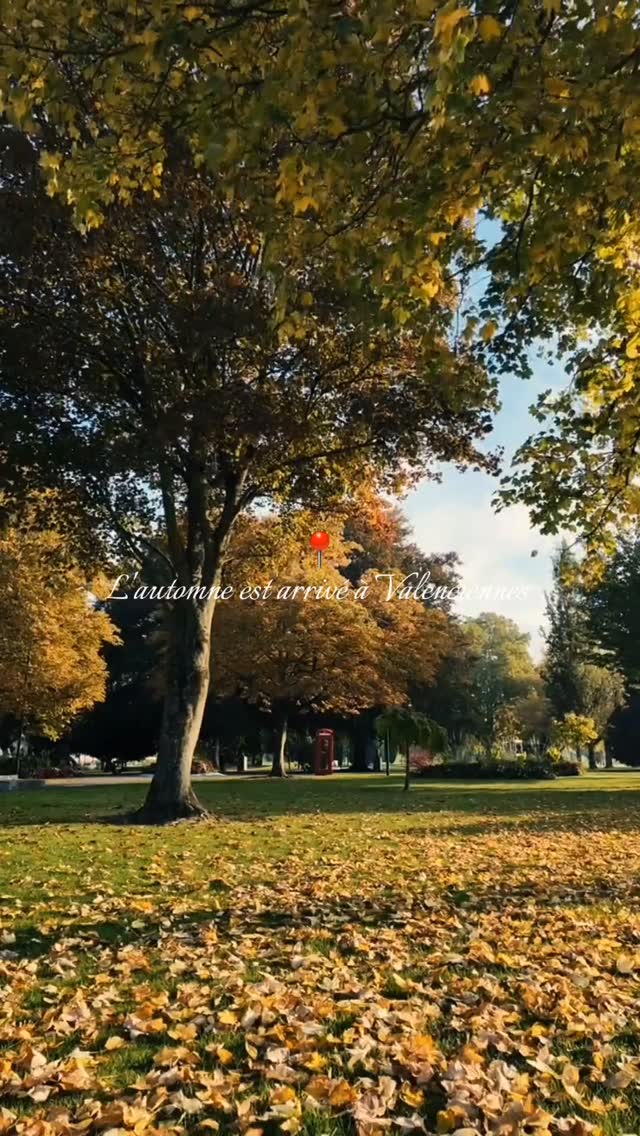 🍂 L&rsquo;automne s&rsquo;installe doucement à Valenciennes …Les feuilles tombent, les couleurs changent et l&rsquo;ambiance devient plus calme. Une belle saison pour se balader et profiter des petits moments.

#Valenciennes #automne #couleursdautomne #baladeenville #ambianceautomnale #instanord #valenciennestourismeetcongres #valenciennesmetropole #touslesvalenciennoisici #tlvi #nordpasdecalais #hdf_en_photos #hautsdefrance #departement59 #monnordenor #igersvalenciennes #Nord #hautsdefrance #nordmylove