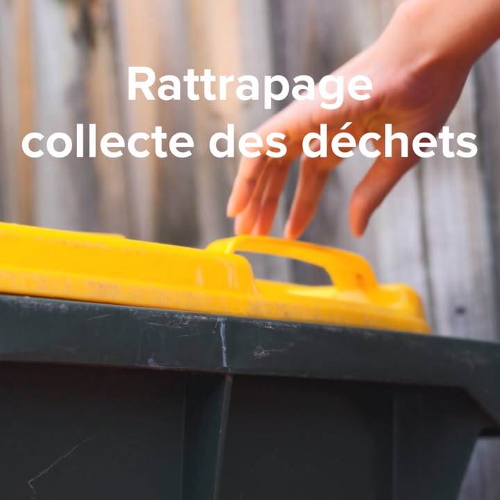 ♻️ 𝐂𝐨𝐥𝐥𝐞𝐜𝐭𝐞 𝐝𝐞𝐬 𝐝𝐞́𝐜𝐡𝐞𝐭𝐬 – 𝐑𝐚𝐭𝐭𝐫𝐚𝐩𝐚𝐠𝐞 𝐣𝐨𝐮𝐫 𝐟𝐞́𝐫𝐢𝐞́ ♻️
📍 Valenciennes Centre

👉 La collecte prévue jeudi 1er janvier 2026 sera rattrapée le vendredi 2 janvier 2026, à partir de 8h30.

👉 La déchèterie sera fermée le mercredi 31 décembre et le jeudi 1er janvier 2026.

+ 𝐝&rsquo;𝐢𝐧𝐟𝐨𝐬 𝐬𝐮𝐫 𝐥&rsquo;𝐀𝐩𝐩 𝐒𝐈𝐀𝐕𝐄𝐃 𝐈𝐍𝐅𝐎𝐒 𝐞𝐭 𝐬𝐢𝐚𝐯𝐞𝐝.𝐟𝐫