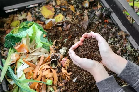 Café‑Compost dans les jardins naturels partagés