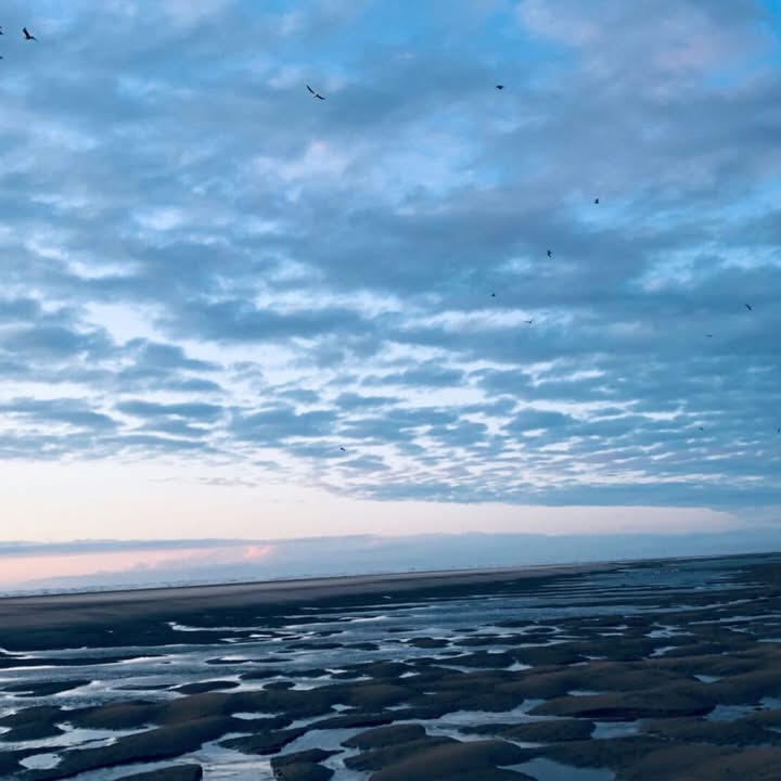 🎧 𝐎𝐜𝐞́𝐚𝐧-𝐌𝐞́𝐦𝐨𝐢𝐫𝐞 – 𝐄𝐱𝐩𝐞́𝐫𝐢𝐞𝐧𝐜𝐞𝐬 𝐝𝐞 𝐯𝐨𝐥 #𝟓 🌊 𝐌𝐚𝐫𝐝𝐢 𝟏𝟕 𝐦𝐚𝐫𝐬 𝐚̀ 𝟐𝟎𝐡 – Le Phénix scène nationale Valenciennes

Kasper T. Toeplitz et le collectif lillois Muzzix vous donnent rendez-vous pour une création immersive.

Préparez-vous pour une plongée sonore entre calme et tempête, où instruments et électronique se mêlent pour créer un paysage musical aussi vaste et mouvant que l’océan.

𝑷𝒓𝒆̂𝒕𝒔 𝒂̀ 𝒍𝒂̂𝒄𝒉𝒆𝒓 𝒑𝒓𝒊𝒔𝒆 ?

ℹ + 𝐝&rsquo;𝐢𝐧𝐟𝐨𝐬 : https://www.lephenix.fr/projects/ocean-memoire-experiences-de-vol-5-25-26
Une production Art Zoyd Studios