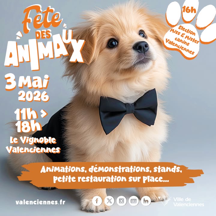 🐾 𝐉-𝟏𝟎 | 𝐅𝐞̂𝐭𝐞 𝐝𝐞𝐬 𝐚𝐧𝐢𝐦𝐚𝐮𝐱 🐾

Le rendez-vous approche à grands pas !
📅 𝐋𝐞 𝟑 𝐦𝐚𝐢 à partir de 11h
📍 𝐀̀ 𝐥’𝐄́𝐭𝐚𝐧𝐠 𝐝𝐮 𝐕𝐢𝐠𝐧𝐨𝐛𝐥𝐞

Venez vivre une grande journée entièrement dédiée au monde animal 🐶🐱🐦
Animations, rencontres, stands, démonstrations et bonne humeur seront au programme !

👑 𝐍𝐨𝐮𝐯𝐞𝐚𝐮𝐭𝐞́ 𝐚̀ 𝟏𝟔𝐡 :
Élection de Miss et Mister Canin Valenciennes 🐾✨

📣 𝑶𝒏 𝒗𝒐𝒖𝒔 𝒂𝒕𝒕𝒆𝒏𝒅 𝒏𝒐𝒎𝒃𝒓𝒆𝒖𝒙 !

+ 𝐝&rsquo;𝐢𝐧𝐟𝐨𝐬 :
🔹𝐥𝐢𝐞𝐧 𝐝𝐞 𝐥&rsquo;𝐞́𝐯𝐞́𝐧𝐞𝐦𝐞𝐧𝐭 : https://fb.me/e/4wTmPp2IE
🔹𝐚𝐠𝐞𝐧𝐝𝐚 : https://www.valenciennes.fr/agenda/fete-des-animaux/