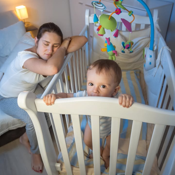 😴 𝐋𝐄 𝐒𝐎𝐌𝐌𝐄𝐈𝐋 – “𝐔𝐧 𝐪𝐮𝐨𝐭𝐢𝐝𝐢𝐞𝐧 𝐩𝐞𝐫𝐭𝐮𝐫𝐛𝐞́ ?” 😴
Parents d’enfants de moins de 4 ans, ce temps d’échange est pour vous !
𝐿𝑒𝑠 𝑛𝑢𝑖𝑡𝑠 𝑐𝑜𝑚𝑝𝑙𝑖𝑞𝑢𝑒́𝑒𝑠, 𝑙𝑒𝑠 𝑟𝑒́𝑣𝑒𝑖𝑙𝑠 𝑓𝑟𝑒́𝑞𝑢𝑒𝑛𝑡𝑠, 𝑙𝑎 𝑓𝑎𝑡𝑖𝑔𝑢𝑒 𝑎𝑢 𝑞𝑢𝑜𝑡𝑖𝑑𝑖𝑒𝑛… 👉𝐶ℎ𝑒𝑟𝑐ℎ𝑜𝑛𝑠 𝑒𝑛𝑠𝑒𝑚𝑏𝑙𝑒 𝑑𝑒𝑠 𝑠𝑜𝑙𝑢𝑡𝑖𝑜𝑛𝑠 𝑎𝑢𝑡𝑜𝑢𝑟 𝑑𝑢 𝑠𝑜𝑚𝑚𝑒𝑖𝑙 𝑑𝑒 𝑣𝑜𝑡𝑟𝑒 𝑒𝑛𝑓𝑎𝑛𝑡 💛

👉𝐑𝐞𝐧𝐝𝐞𝐳-𝐯𝐨𝐮𝐬 :
📅 Mercredi 6 mai
⏰ De 9h15 à 11h15
📍 Espace Ressources Petite Enfance, 7 𝑟𝑢𝑒 𝑀𝑎𝑢𝑟𝑖𝑐𝑒 𝐵𝑎𝑢𝑐ℎ𝑜𝑛𝑑

👉𝐀𝐮 𝐩𝐫𝐨𝐠𝐫𝐚𝐦𝐦𝐞 :
👩‍⚕️ Intervention de Mme Mélodie André, infirmière spécialisée petite enfance, consultante en sommeil

ℹ 𝐒𝐮𝐫 𝐢𝐧𝐬𝐜𝐫𝐢𝐩𝐭𝐢𝐨𝐧 : poleparentalite@ville-valenciennes.fr
𝑵’𝒉𝒆́𝒔𝒊𝒕𝒆𝒛 𝒑𝒂𝒔 𝒂̀ 𝒑𝒂𝒓𝒕𝒂𝒈𝒆𝒓 𝒂𝒖𝒕𝒐𝒖𝒓 𝒅𝒆 𝒗𝒐𝒖𝒔 👶✨