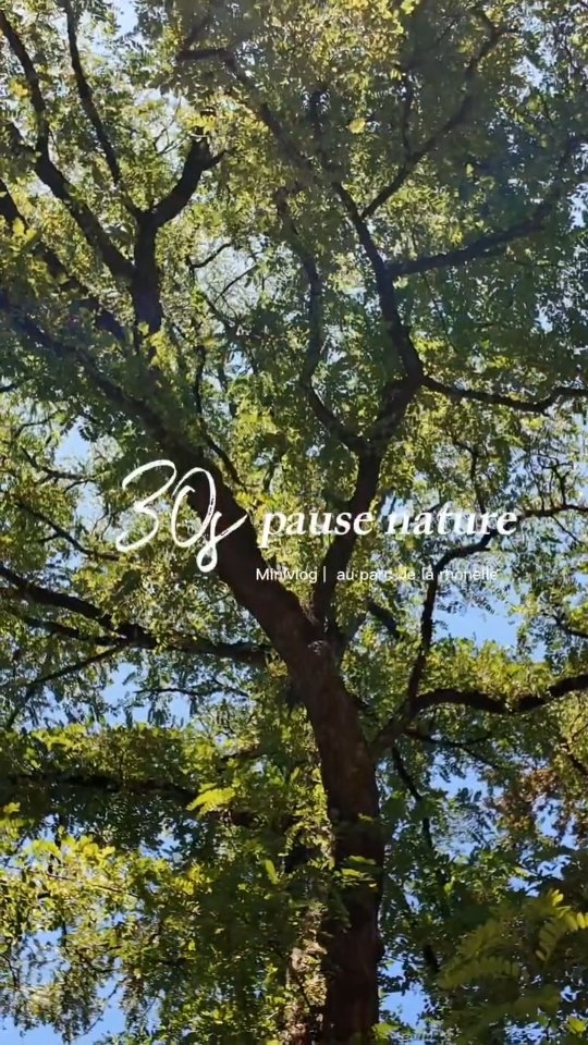 🎬 30 secondes à Valenciennes 

Aujourd&rsquo;hui, direction le parc de la Rhônelle 🌳 

Au coeur de Valenciennes, le parc de la Rhônelle offre une parenthèse pour ralentir, respirer…et redécouvrir un lieu que l&rsquo;on pensait connaître. 

Le parc de la Rhônelle, c&rsquo;est votre coin préféré pour une balade, une pause déjeuner, un footing…ou simplement pour profiter du calme ? 

💬 Dites-nous en commentaire 

💚 Valenciennes, toujours plus agréable à vivre 💚

#30secondesavalenciennes #parcdelarhonelle #hautsdefrance #valenciennes_maville #valenciennes
