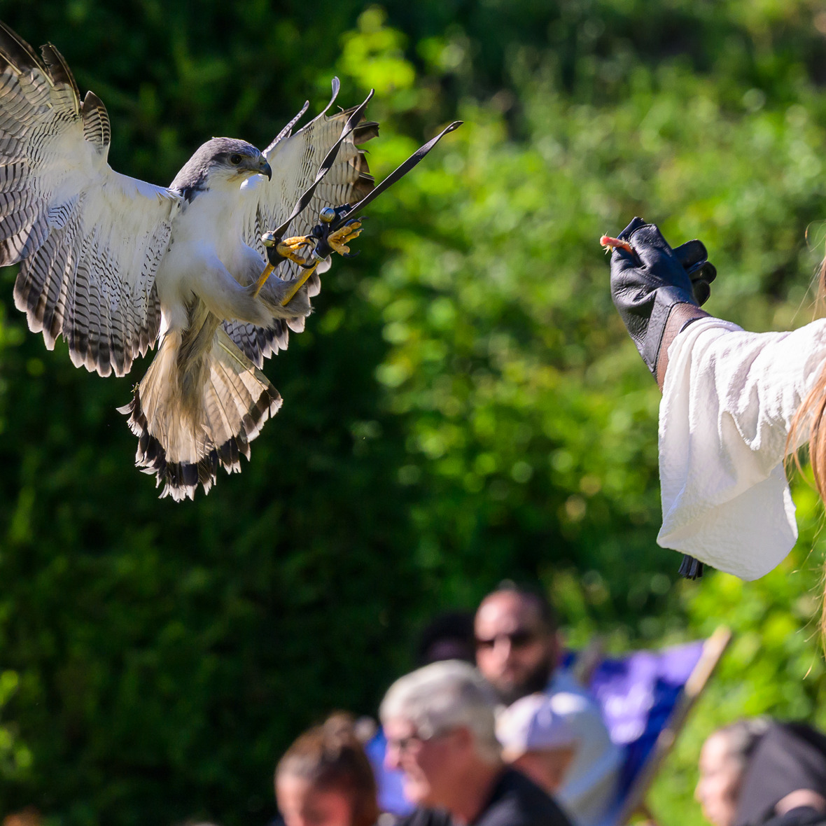 ✨ 𝐐𝐮𝐞𝐥 𝐰𝐞𝐞𝐤-𝐞𝐧𝐝 𝐚̀ 𝐕𝐚𝐥𝐞𝐧𝐜𝐢𝐞𝐧𝐧𝐞𝐬 ! ✨

Entre voyage dans le temps avec les « Arts dans les Remparts » 🏰, ambiance chaleureuse et festive lors du Week-end Dominicain Latino 💃🌴, et ferveur collective à la Fan Zone pour soutenir les Bleus ⚽🇫🇷, vous avez été nombreux à partager ces moments avec nous.

📸 Retour en images sur un week-end riche en découvertes et en émotions.

👉 Swipez pour découvrir les meilleurs moments ! et dites-nous en commentaire quel a été votre moment préféré !

#valenciennes #retourenimages #lesartsdanslesremparts #weekendlatino #fanzone #evenements #patrimoine #cdm2026 #weekends