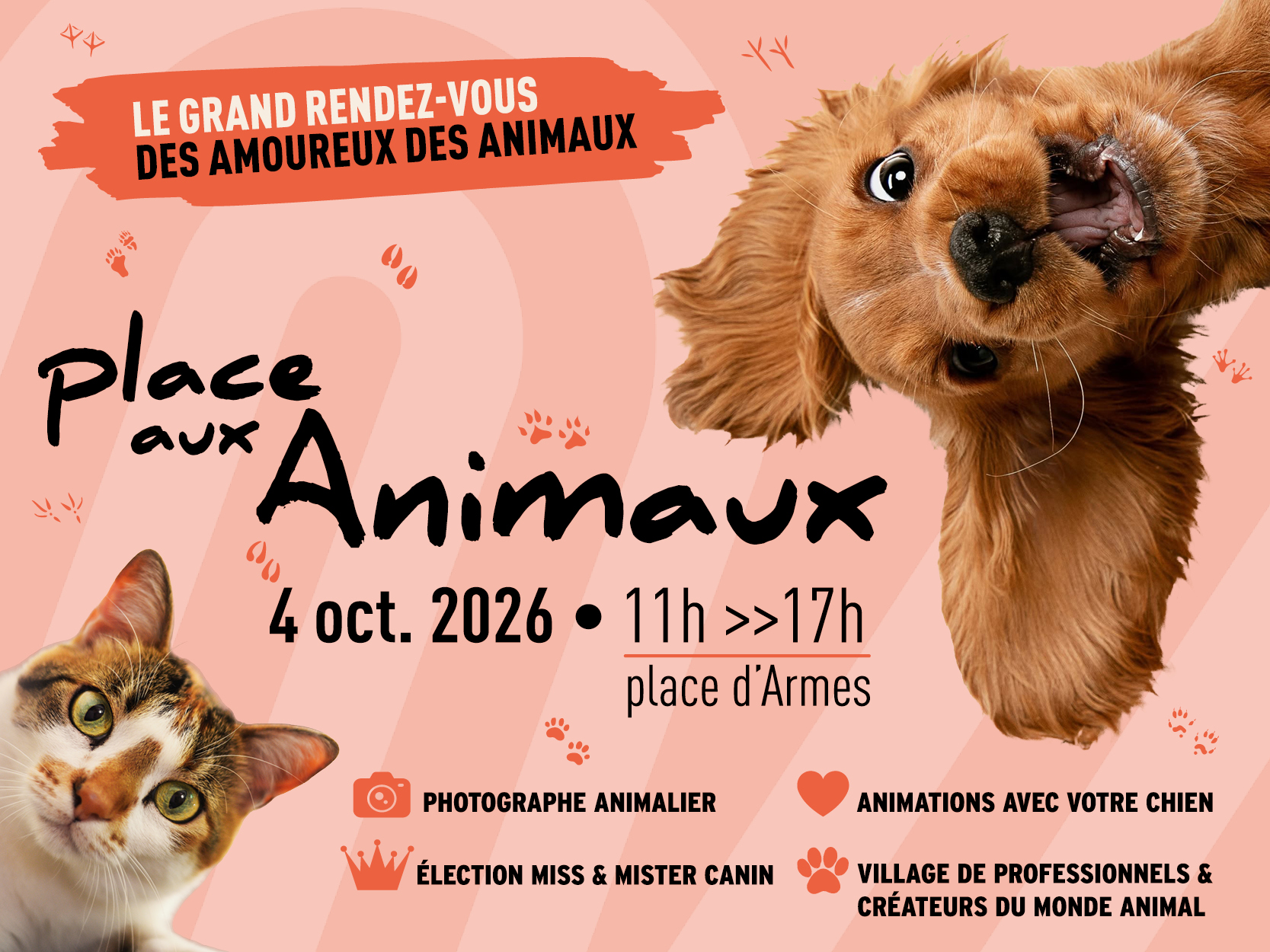 Place aux animaux